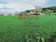 PARCELAS URBANAS JUNTO AL CENTRO DE MERUELO