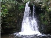 PARCELAS URBANIZABLES AL LADO DE TAPIA DE CASARIEGO