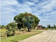 Parcelas urbanizadas en VENTA en OLIVAR