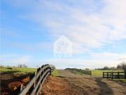 Parcelas Urbanizadas Lago Ranco santa Rosa Rio Sur Correta