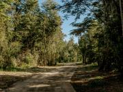 Parcelas Venta Hacienda Aguas del Maullín, Los Muermos,...