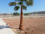 PARCELAS ZONA 500 VIVIENDAS PUERTO DE SAGUNTO EXCELENTE...