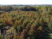 Parcelles Forestière et Bois