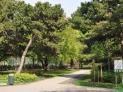 PÄRCHENHIT AM WALDMÜLLERPARK