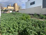 Pareado en Venta en Bormujos, Sevilla