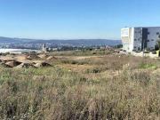 Paredes Porto 4585 361 95303191