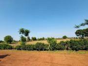 Paridhi Nidhivan Farm,Tatibandh Residential Plot For...