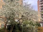 PARIS 19ᵉ – ENTRE METRO OURCQ ET PORTE DE PANTIN STUDIO...