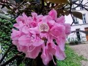 Paris 5ème 75005 Achat / Vente appartement 3 pièces t3