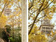 Paris 7e GROS CAILLOU / CHAMP DE MARS Appartement à...