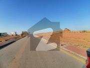 Park Facing Categorized Plot