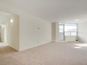 Park Hill Apartments 1 Bedroom Apartment for Rent at 15...