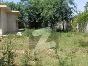 Park Road Chak Shahzad Farm House Park Road