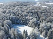 PARK, WALD, BACH UND BADESEE / HISTORISCHES LANDHAUS NUR...