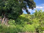 PARK WAY LOTE DE 2.700m2 COM ÁREA VERDE AC IMÓVEL E...