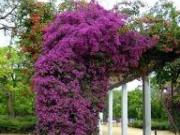 Parking en alquiler en Sevilla, Gran Plaza Marqués de...