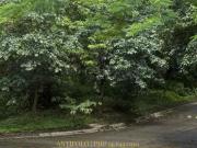 Parkridge Estate Subdivision Prime Lots for Sale in Antipolo