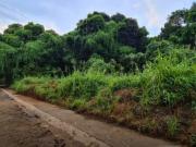 Parkridge Estates 3 Lots for Sale in Antipolo City