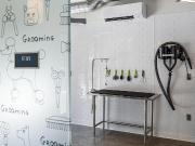 Parkway Apartments 1 Bedroom Apartment for Rent at 1555...