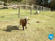 Parkwohnanlage Wilhelmshöhe Renovierte 2 Zimmer Wohnung... Parkwohnanlage Wilhelmshöhe Renovierte 2 Zimmer Wohnung...