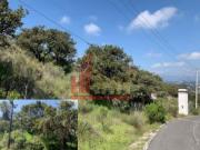 Parque Industrial El Pedregal. Terreno en Venta....