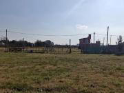 Calle 122 y 46, Parque Sicardi, Garibaldi, La Plata