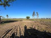 Parral, Sector Monteflor