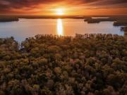 Parramore Shores Rd Lot,tallahassee, Plot For Sale