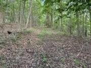 Parsons Hill Rd, Lansing, Plot For Sale