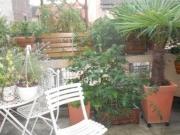 Partage dans une ambiance apaisée et conviviale