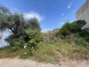 Pascolo in vendita a Solarino