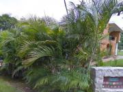 PASEO XAMAN HA PLAYACAR, PLAYA DEL CARMEN QUINTANA ROO