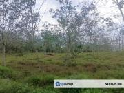 Pasir Panjang