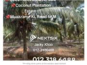 Pasir Puteh Ipoh Freehold Single Storey Semi D. Size:...