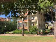 Passignano Sul Trasimeno Pg: Nei pressi delle rive del...