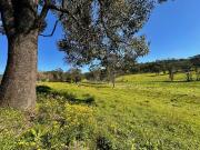 Pastured Acres Within Walking Distance to 'Historic...