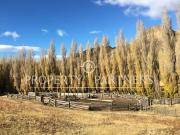 Patagonia, 1450 ha Valle Bahía Jara, Chile Chico