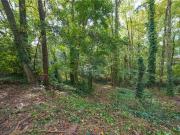 Paul Ave Nw, Atlanta, Plot For Sale