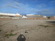paved yard to let in holland park/ko.