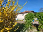 Pavillon