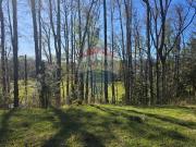 Paz y Tranquilidad en Loncotraro