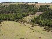 Plots La estaquilla, Puerto Varas