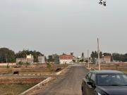 Pb Properties 1200 Sq.Ft. Plot in Mohanlalganj Lucknow...