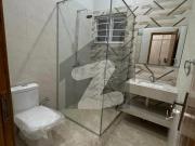 Peaceful location new lavish house for rent in sector f...