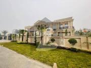 Peach 2 Kanal From House For Sale