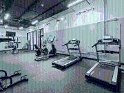 Peanut Factory Flats Peanut Factory Flats 106