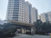 Hinjawadi Phase 3 3 BHK Apartment For Sale Pune