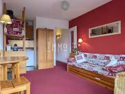 Peisey Nancroix 73210 Achat / Vente appartement 1 pièce t1