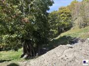 Peisey Nancroix 73210 Achat / Vente terrain