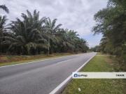 Pekan Nanas 32哩Pontian准屋业地 Zoning Residential Land * 15...